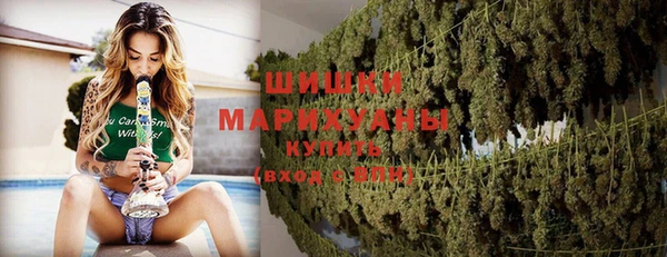 прущие грибы Абдулино